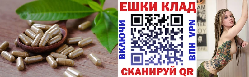 купить наркотик  Губкинский  МЕГА ссылки  Экстази Philipp Plein 