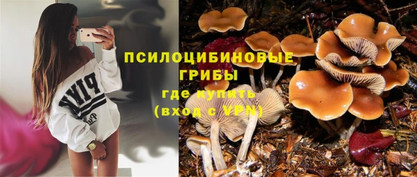 мяу мяу мука Балахна