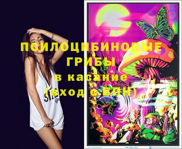 мяу мяу мука Балахна